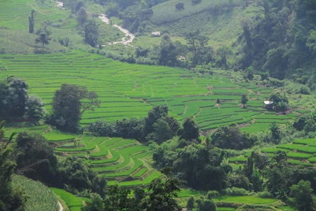 KowitFarmstay, Ban Mae Pan Noi, Thailand