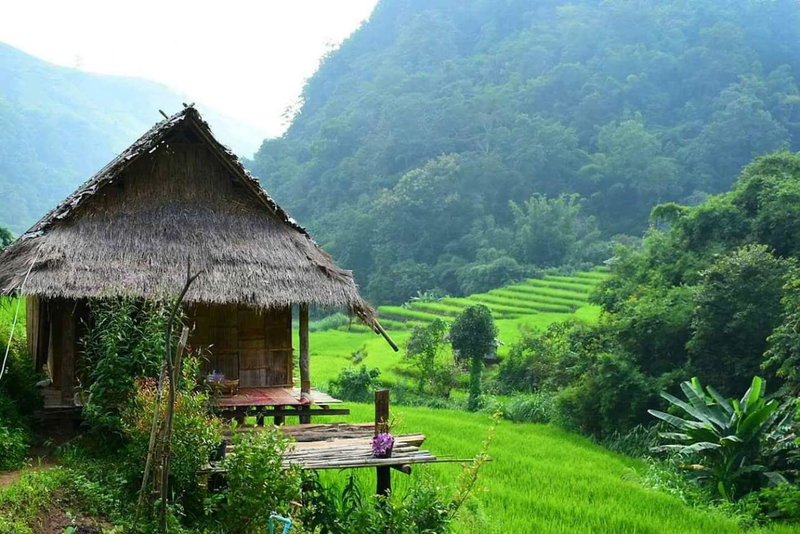 KowitFarmstay, Ban Mae Pan Noi, Thailand