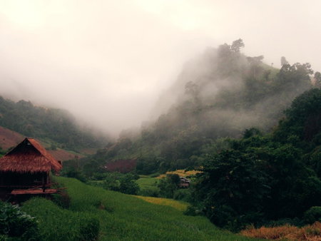 KowitFarmstay, Ban Mae Pan Noi, Thailand