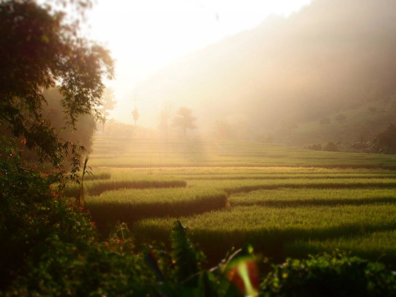 KowitFarmstay, Ban Mae Pan Noi, Thailand