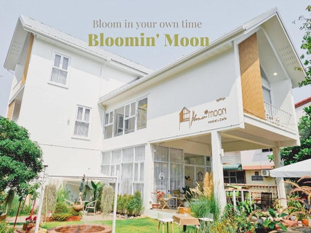 Bloomin' Moon hostel & cafe, Chiang Mai Old Town, Chiang Mai, Thailand