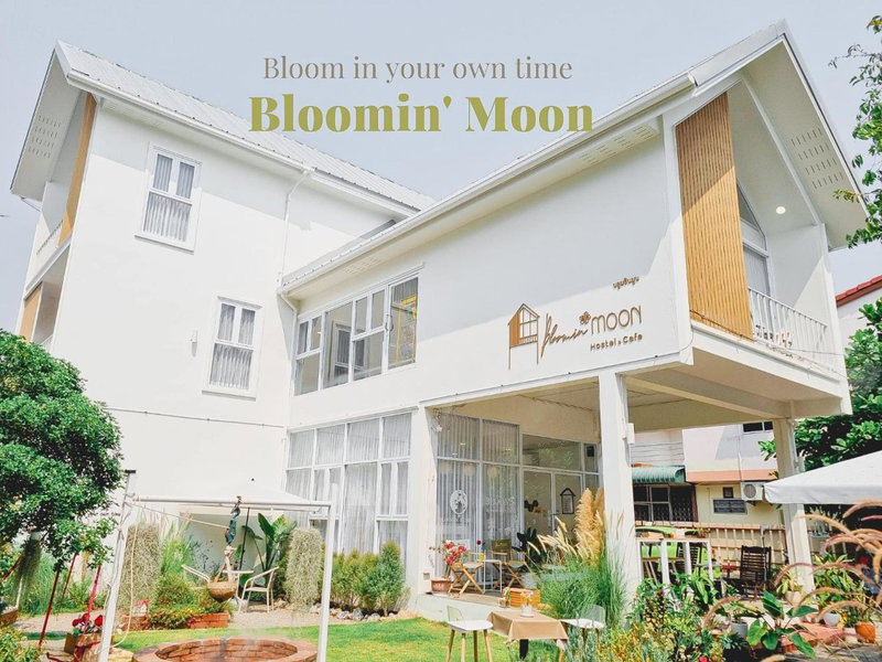 Bloomin' Moon hostel & cafe, Chiang Mai Old Town, Chiang Mai, Thailand