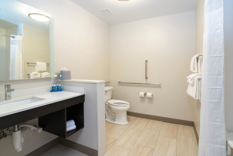 Holiday Inn Express & Suites Allen Park by IHG, Allen Park, United States