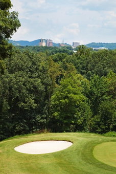 Crowne Plaza Resort Asheville by IHG, Asheville, United States