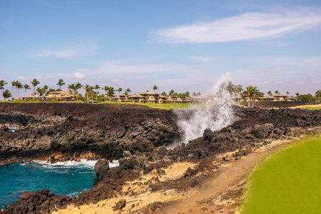Waikoloa Beach Marriott Resort & Spa, Waikoloa, United States