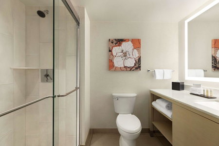 Embassy Suites by Hilton Denver International Airport, Denver, United States