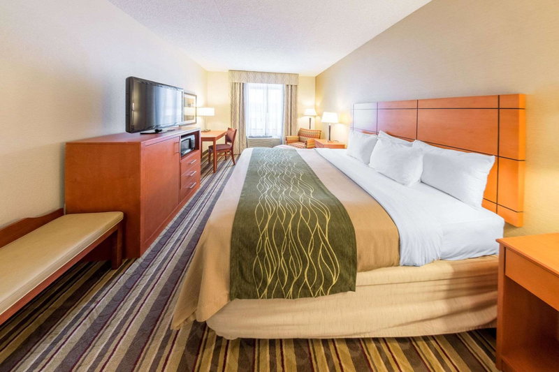Comfort Inn Metro Airport, Romulus, United States
