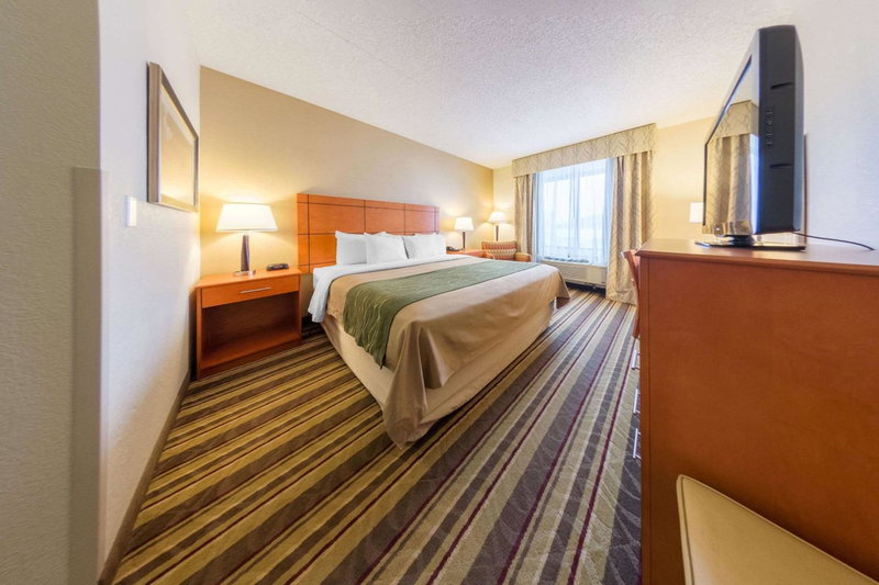 Comfort Inn Metro Airport, Romulus, United States