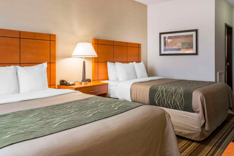 Comfort Inn Metro Airport, Romulus, United States