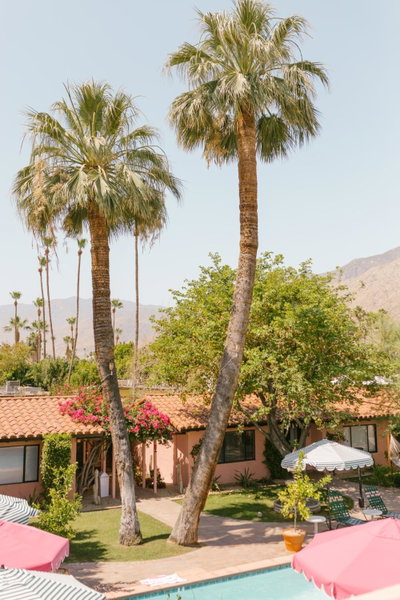 Les Cactus, Palm Springs, United States