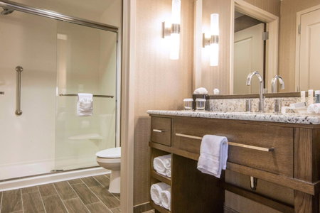 Homewood Suites by Hilton Houston Downtown, Houston, United States