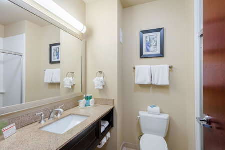 Holiday Inn Express Hotel & Suites Dallas West by IHG, Dallas, United States