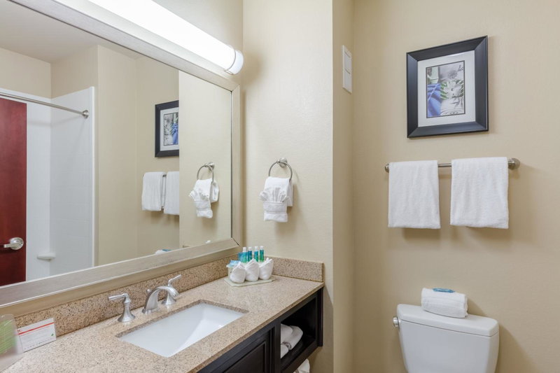 Holiday Inn Express Hotel & Suites Dallas West by IHG, Dallas, United States