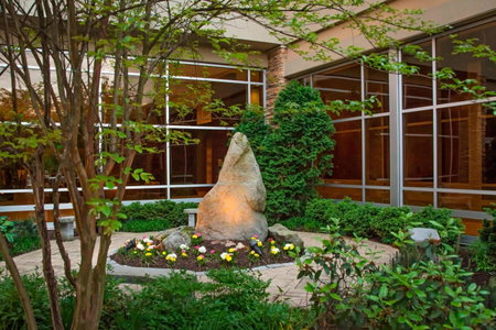 The Westin Baltimore Washington Airport - BWI, Linthicum Heights, United States