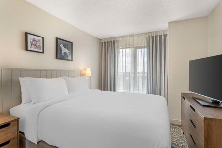 Sonesta ES Suites San Antonio Downtown Alamo Plaza, San Antonio, United States