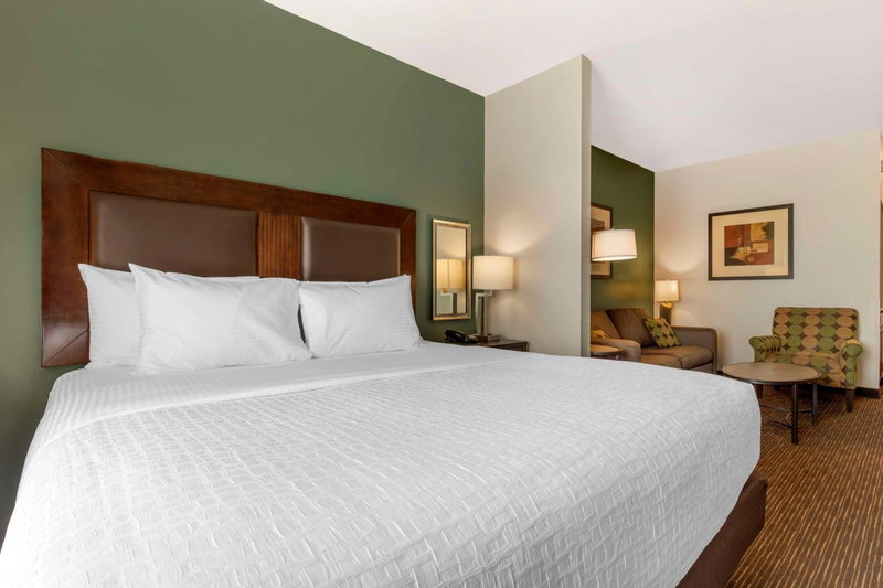 Best Western Plus Duncanville Dallas, Duncanville, United States