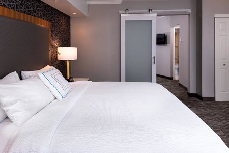 SpringHill Suites by Marriott Pittsburgh North Shore, Pittsburgh, United States