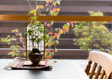 Shioriya, Nagano, Japan