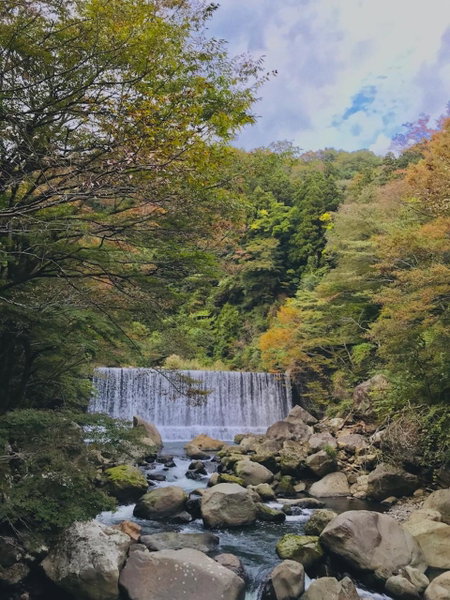 HakoneHOSTEL1914, Hakone, Japan