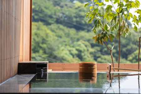 Watei Kazekomichi, Atami, Japan