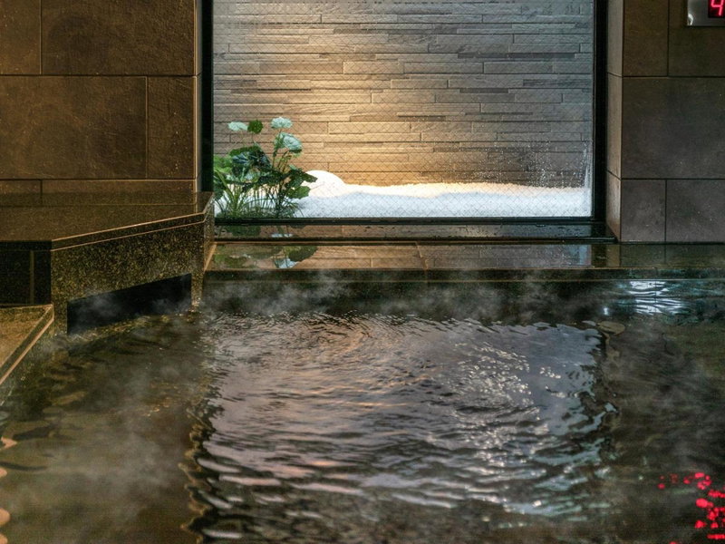 Super Hotel Premier Nagoya Sakuradoriguchi, Nagoya, Japan