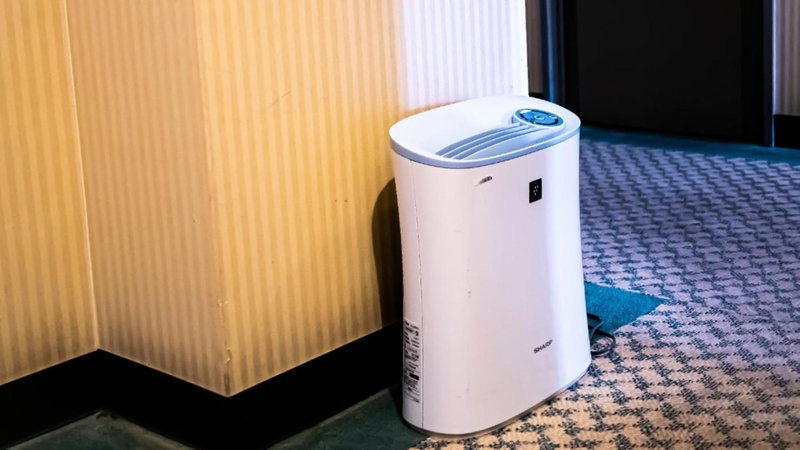 Hachinohe Plaza Hotel, Hachinohe, Japan