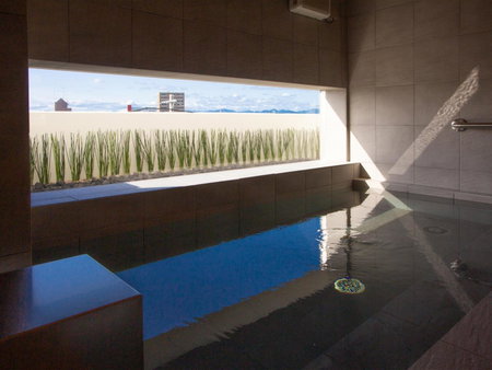 Kuretake Inn Premium Fukuroi Ekimae, Fukuroi, Japan