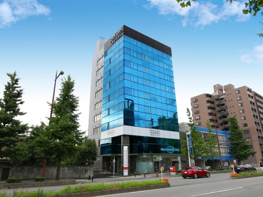 Hotel New Gaea Domemae, Fukuoka, Japan