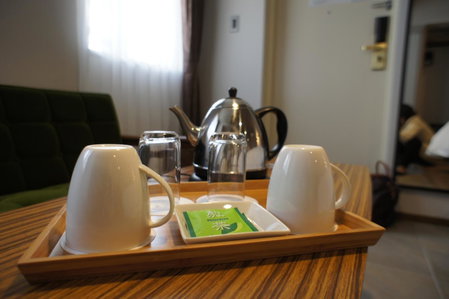 Hotel Citio Shizuoka, Shizuoka, Japan