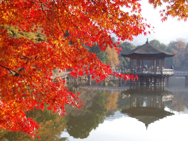 Wakasa Annex, Nara, Japan