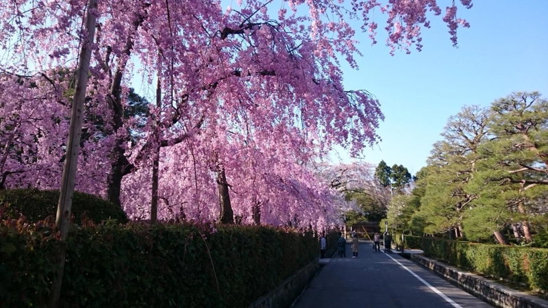 RokuRoku, Kyoto, Japan