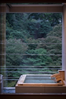 Arima Onsen Gekkoen Korokan, Kobe, Japan