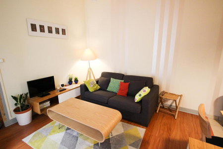 Apartment Boulevard Brune, Paris, France