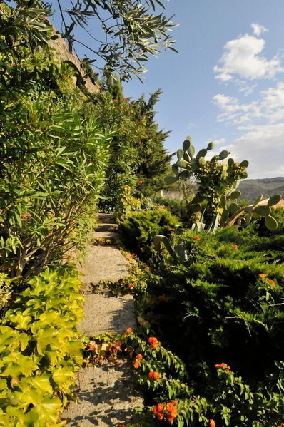 Hotel Méditerranée, Collioure, France