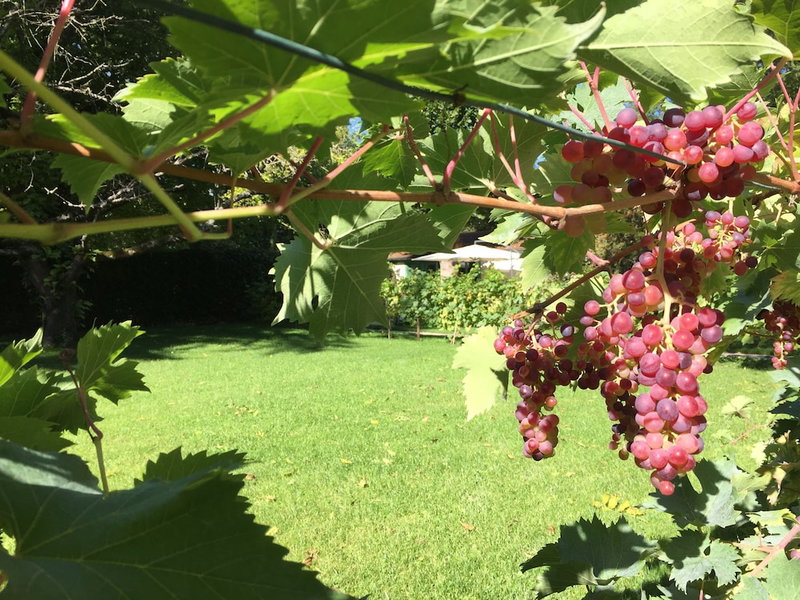 L'Orée de Giverny, Limetz-Villez, France