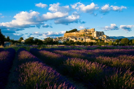 Le Clair de la Plume - Teritoria, Grignan, France