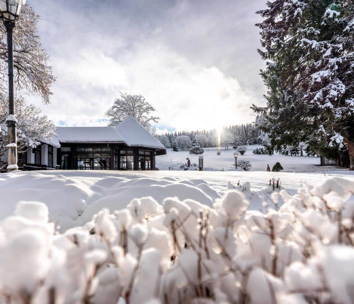 Hotel · Hotel Zum Ochsen, Schonwald Im Schwarzwald