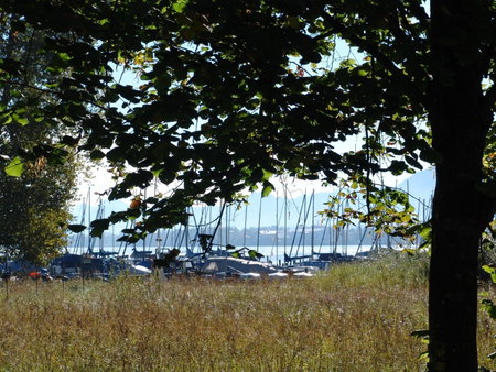 Zum Fischer am See ***S, Prien am Chiemsee, Germany
