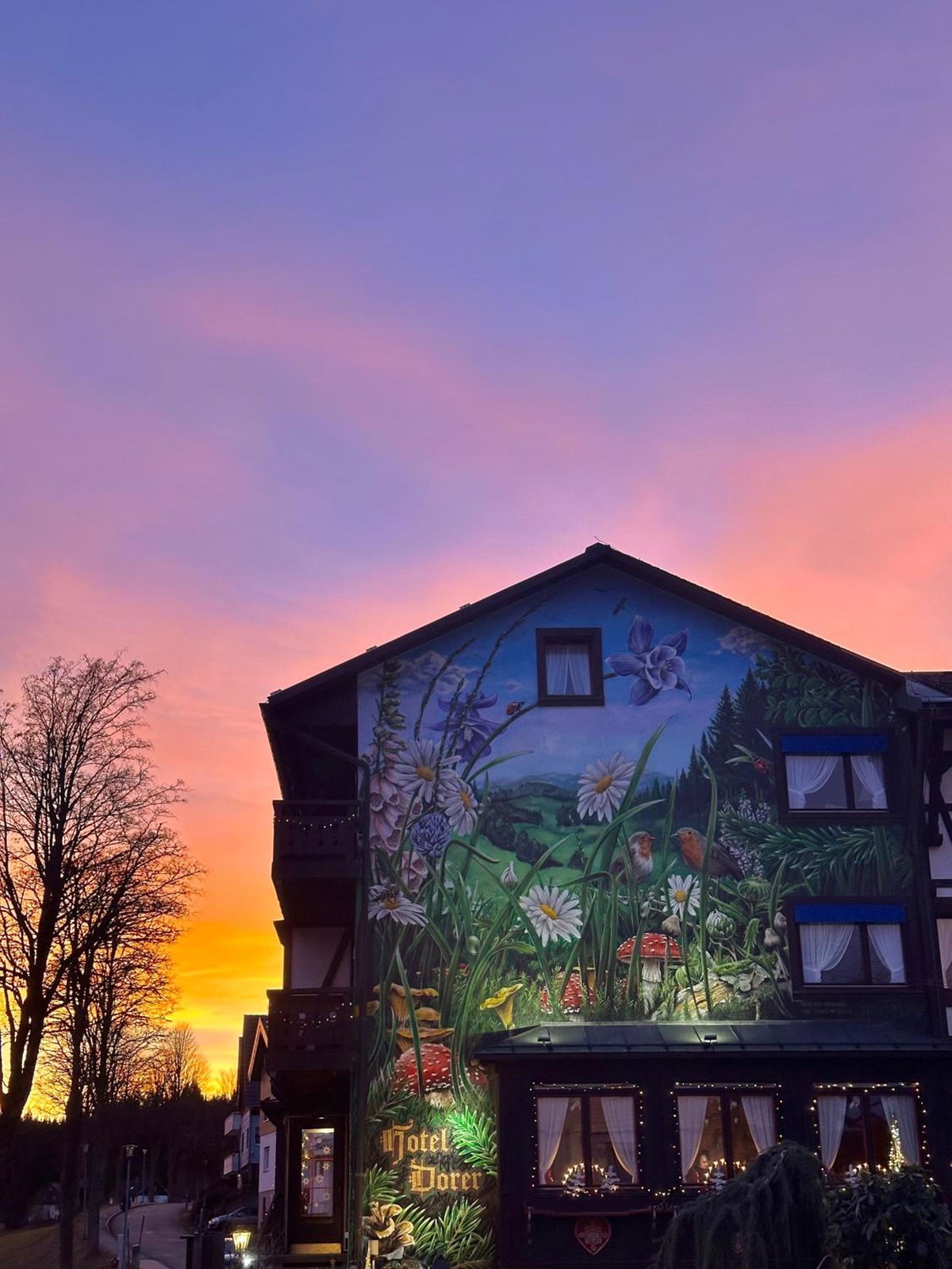Hotel · Boutique Hotel Dorer, Schonwald Im Schwarzwald