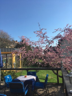 Boutique Hotel Dorer, Schonwald im Schwarzwald, Germany