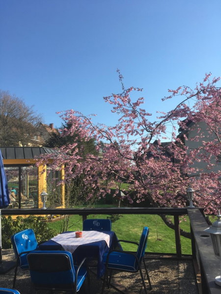 Boutique Hotel Dorer, Schonwald im Schwarzwald, Germany