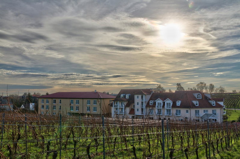 Das Prinzregent, Edenkoben, Germany