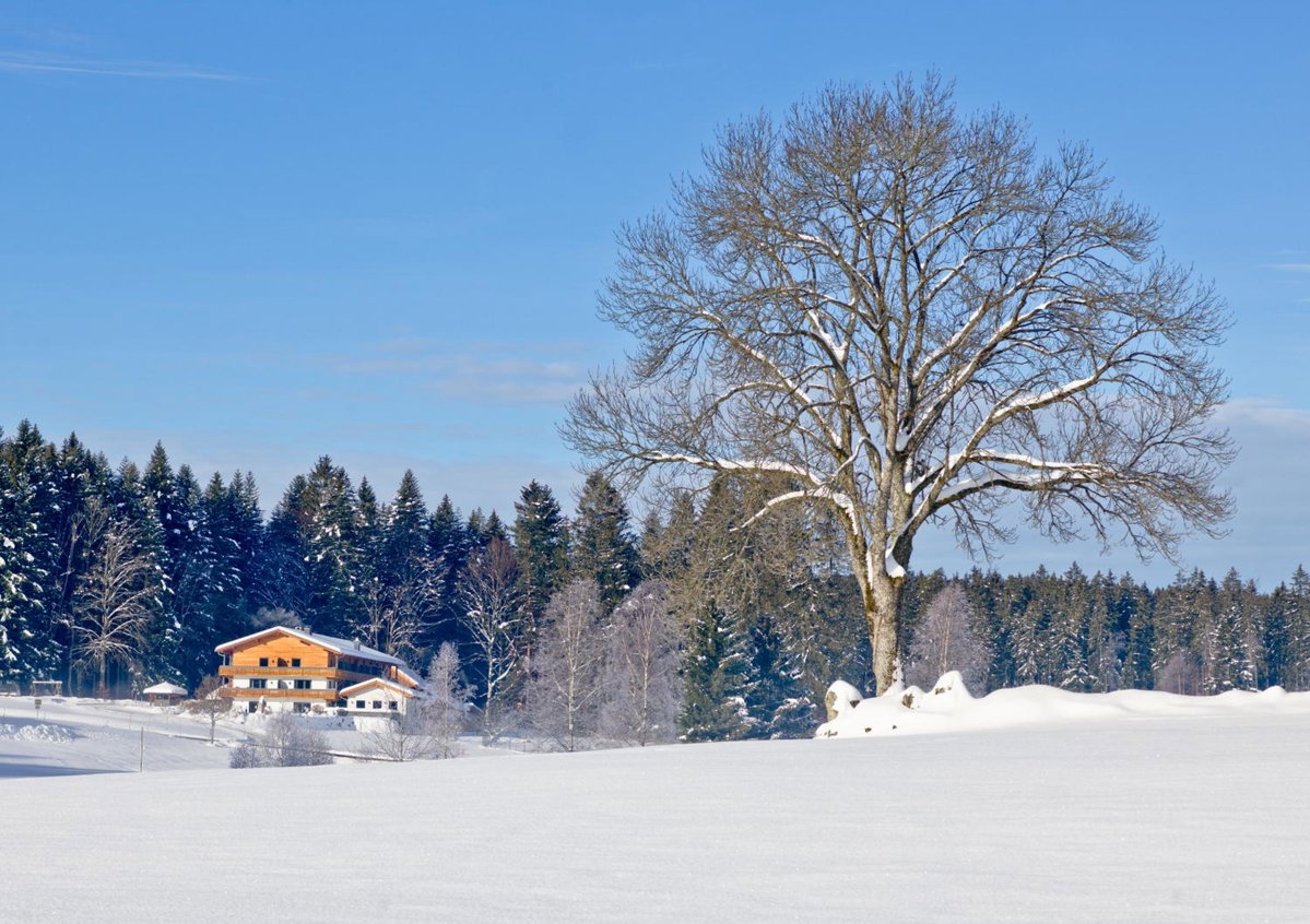 Hotel · Landhotel Moorhof, Neuschönau