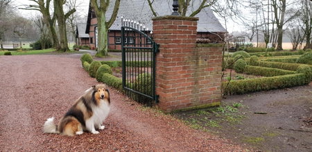 Münsterland Cottage, Lengerich, Germany