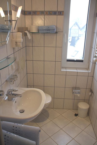 Vergissmeinnicht, Oberhof, Germany