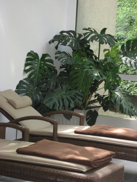 Hotel Anna, Badenweiler, Germany