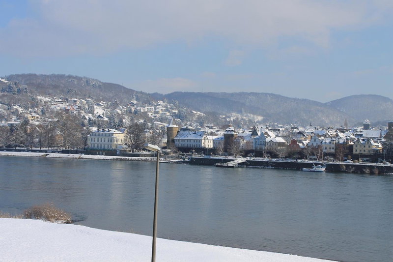 RheinHotel ARTE, Remagen, Germany