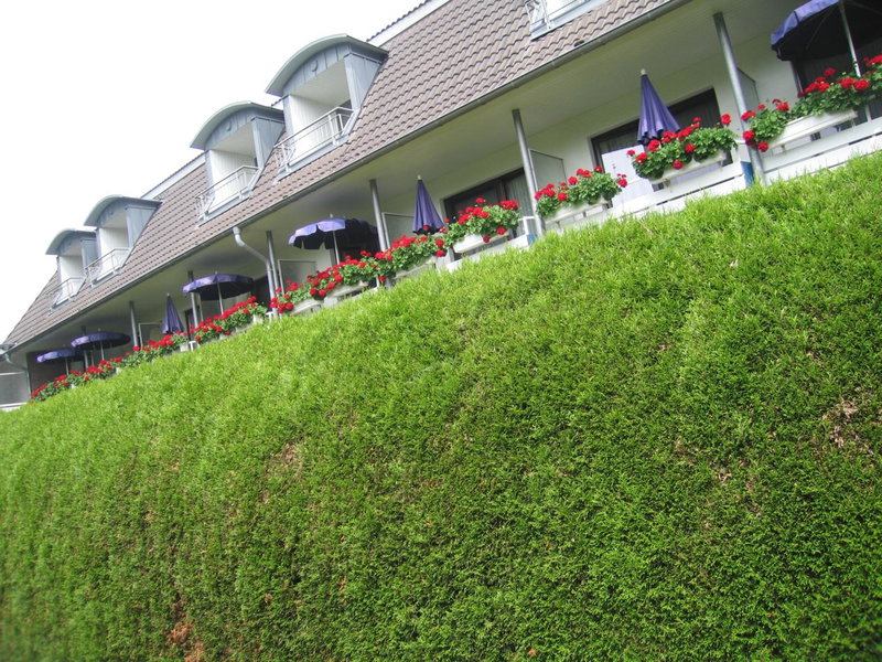 Hotel zum Rosenteich, Bad Zwischenahn, Germany