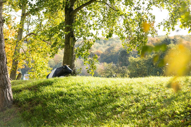 Wald & Golfhotel Lottental, Bochum, Germany