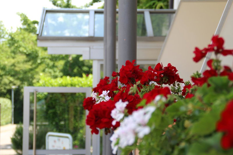Atrium Hotel Baden, Bad Krozingen, Germany